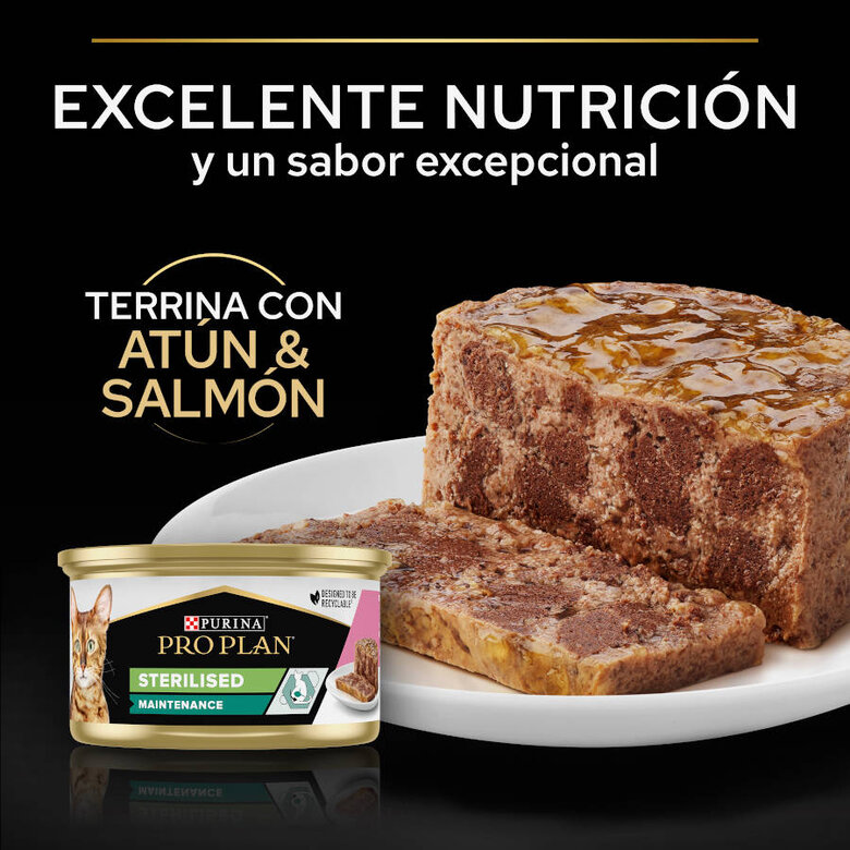 85 g Pro Plan Sterilised Adult Salmão e Atum em terrina para gatos ,  Imagem número 4 85 g Pro Plan Sterilised Adult Salmão e Atum em terrina para gatos , , large Imagem número 4